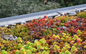 the cost of Wormegay green roof installation