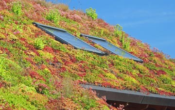 Wormegay living roof systems